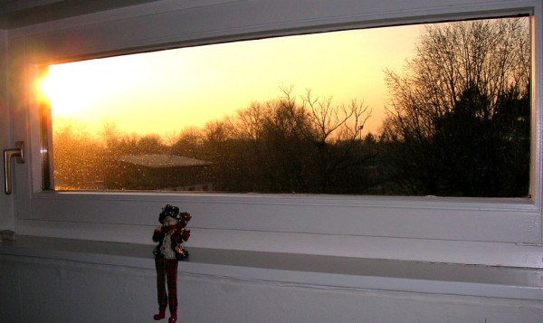 Diakonissenhaus Bethlehem, Karlsruhe  -- Winterm�nnchen im Treppenhausfenster

Klicken f�r das n�chste Bild