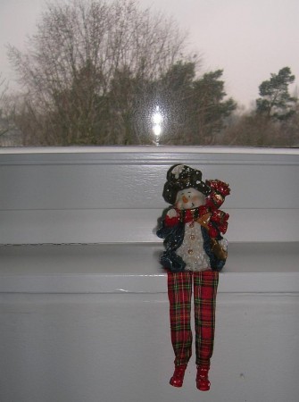 Diakonissenhaus Bethlehem, Karlsruhe  -- Winterm�nnchen im Treppenhausfenster

Klicken f�r das n�chste Bild