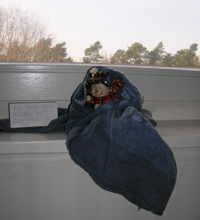 Diakonissenhaus Bethlehem, Karlsruhe  -- Winterm�nnchen im Treppenhausfenster

Klicken f�r das n�chste Bild