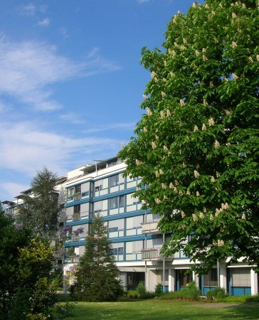 Diakonissenhaus Bethlehem, Karlsruhe  -- von Westen

Klicken fr das nchste Bild