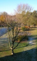 Diakonissenhaus Bethlehem, Karlsruhe  -- Garten im Winter