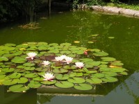 Diakonissenhaus Bethlehem, Karlsruhe  -- Sommergarten